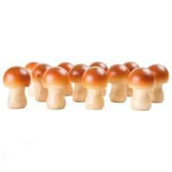 Wooden Mushroom