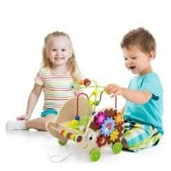 Pull-Along Activity Hedgehog - Image 6