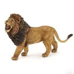 Lion Roaring