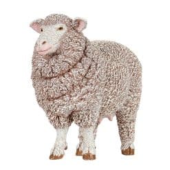 Merinos Sheep
