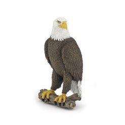 Sea Eagle