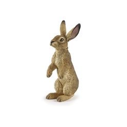Standing Hare