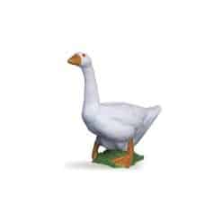 White Goose