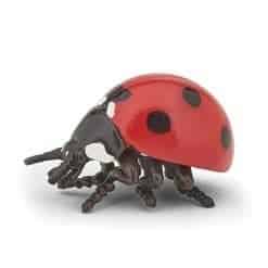 Ladybird