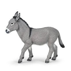Provence Donkey
