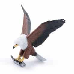 Dild African Fish Eagle