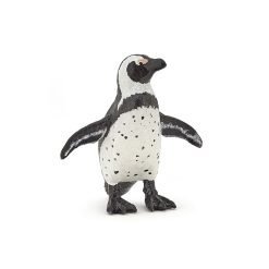 African Penguin