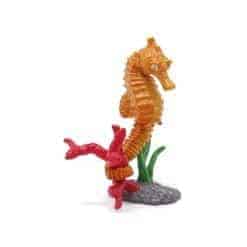 Seahorse