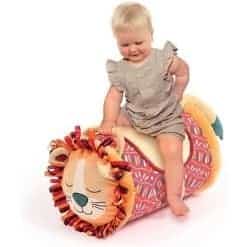 Activity Cylinder Lion