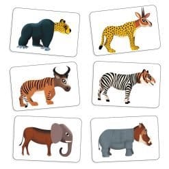Anijumble Card Game - Image 3