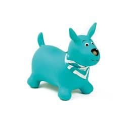 My Bouncing Blue Dog