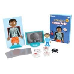 Brainkid Toys - Skill Builders Human Body 10 Skill Builders Human Body - Image 3