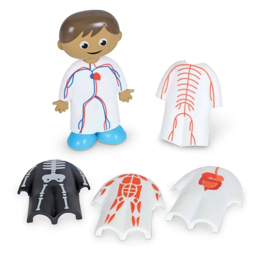 Brainkid Toys - Skill Builders Human Body 4 Skill Builders Human Body - Image 4
