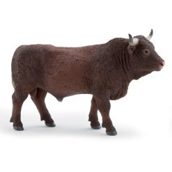 Farmyard Bull