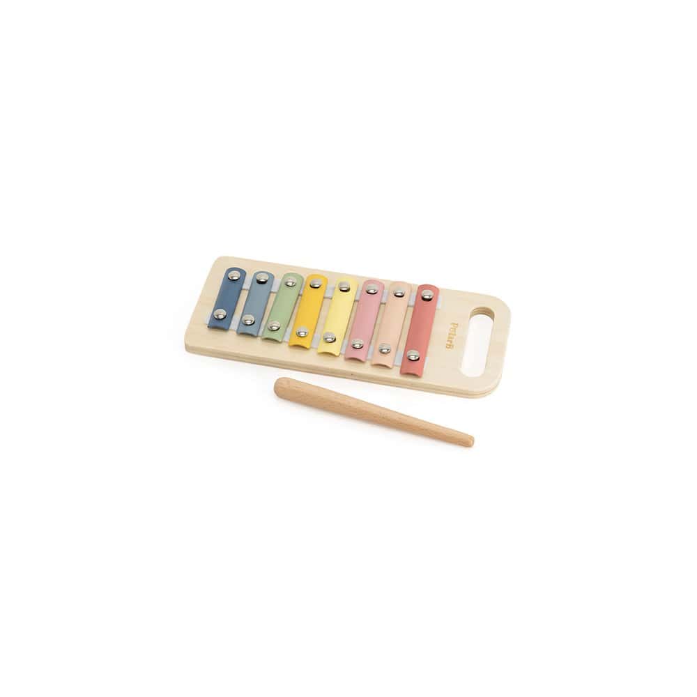 Brainkid Toys - Color Recognition and Shape Sorting Toys Set - 18-24months 6 Color Recognition and Shape Sorting Toys Set - 18-24months - Image 6