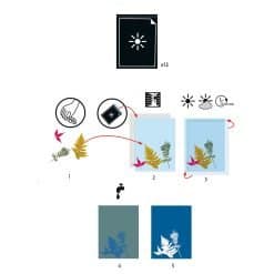 Alternative view of Blueprint Light-Sensitive Paper