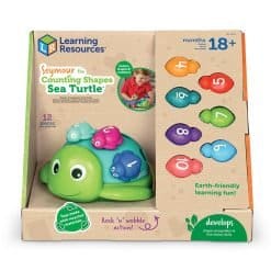 Alternative view of Seymour the Counting Shapes Sea Turtle