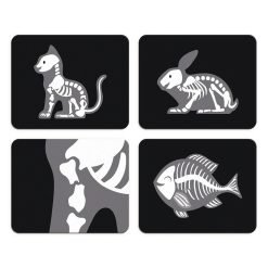 Veterinarians Case - Image 4