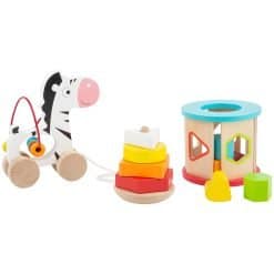 Motor Skills Toy Set