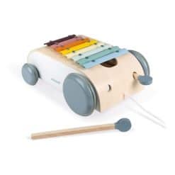 Coccon Xylo Roller by Janod
