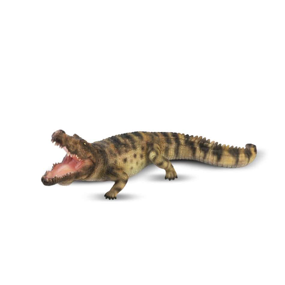 Brainkid Toys - XL Nile Crocodile 40cm 1 XL Nile Crocodile 40cm