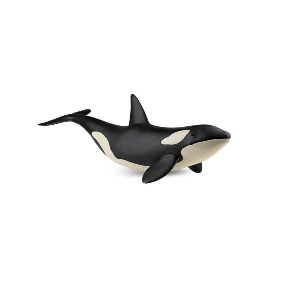 Brainkid Toys - XL Killer Whale 33cm 1 XL Killer Whale 33cm