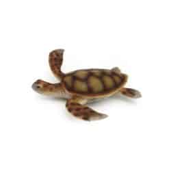 XL Careta Careta Sea Turtle 28cm