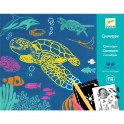 Blueprint Workshop - Sea