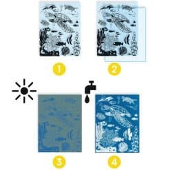 Blueprint Workshop - Sea - Image 4