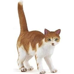 Mekong Cat