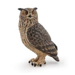 Brown Owl