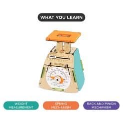 Smartivity Scale - Image 4