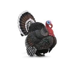 Farmyard Turkey