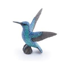 Hummingbird