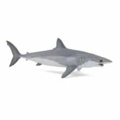 Mako Shark