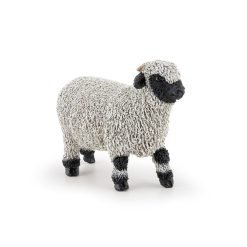 Blacknose Sheep