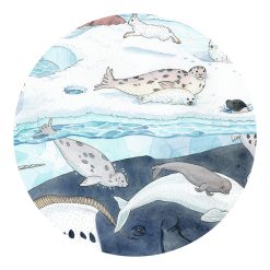 Brainkid Toys - Puzzle Polar Sea 54pcs 6 Puzzle Polar Sea 54pcs - Image 3
